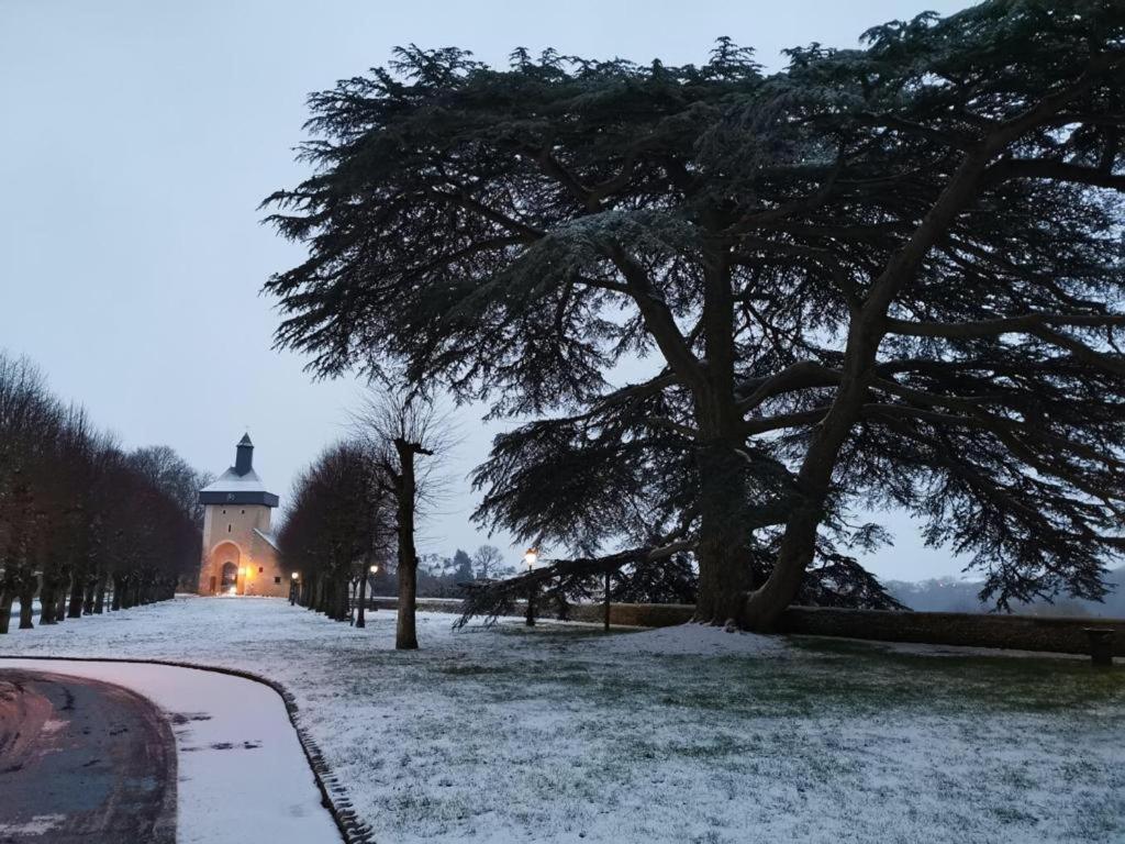 Cosy T1 ! Proche Commerces Et Axes Routiers Chateau Renault Bagian luar foto